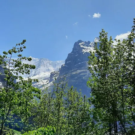 Apartamento Zur Hoehe By Interhome *