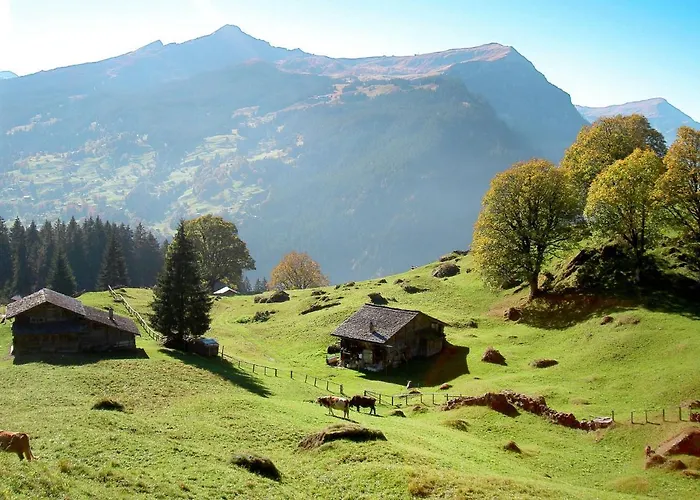 Zur Hoehe By Interhome Apartment