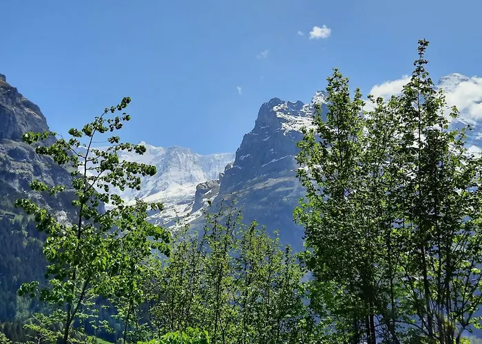 Appartement Zur Hoehe By Interhome *