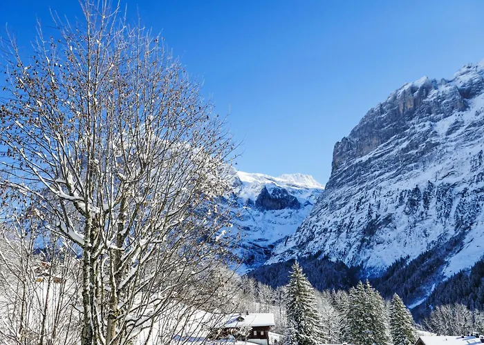 Zur Hoehe By Interhome 公寓