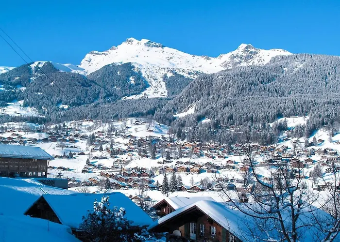 Zur Hoehe By Interhome Apartamento Grindelwald