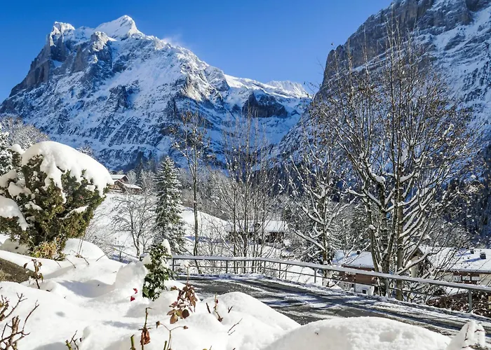 Zur Hoehe By Interhome * Grindelwald